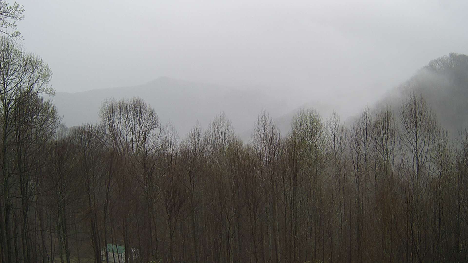click for next image... slideshow image