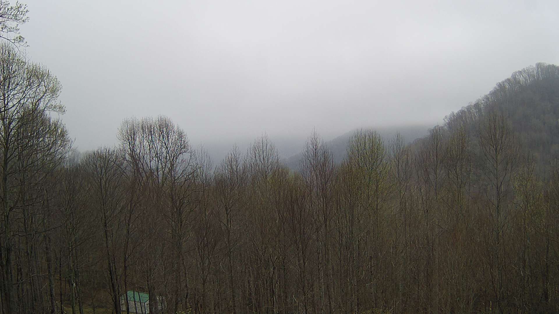 click for next image... slideshow image