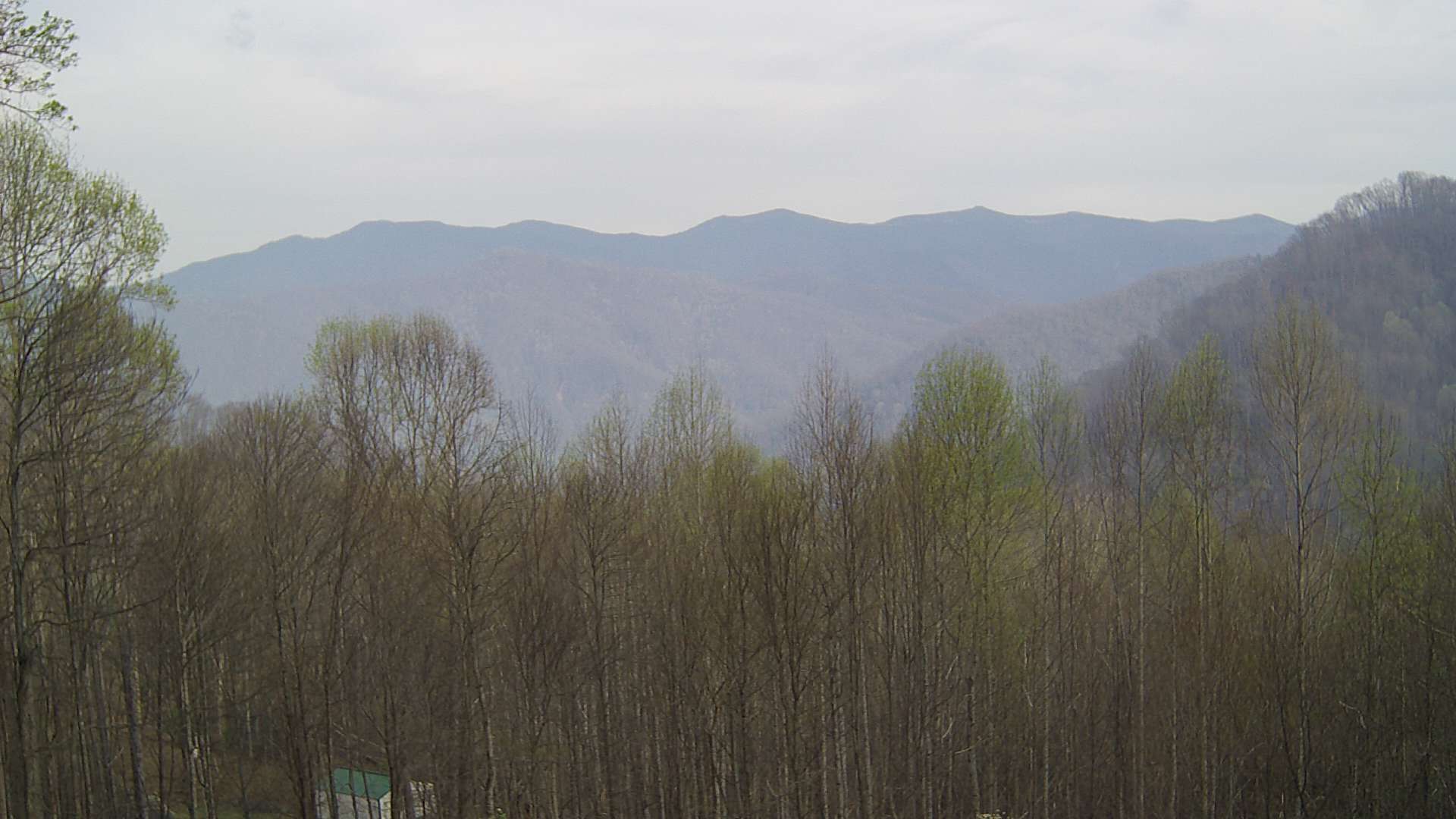 click for next image... slideshow image