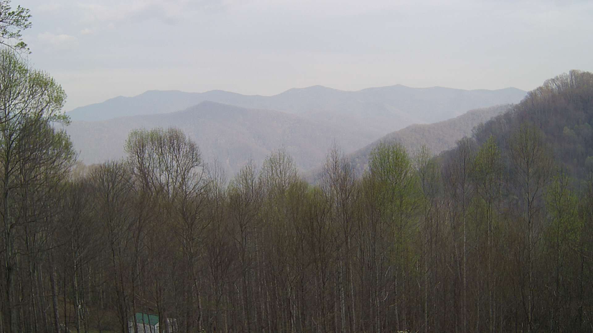 click for next image... slideshow image