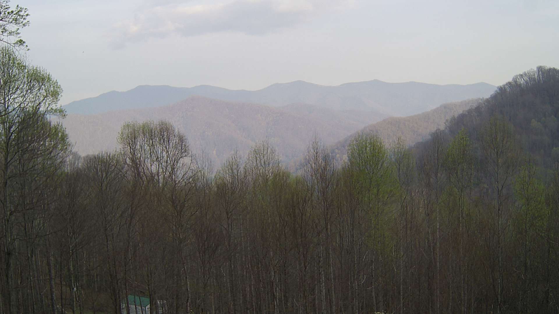 click for next image... slideshow image