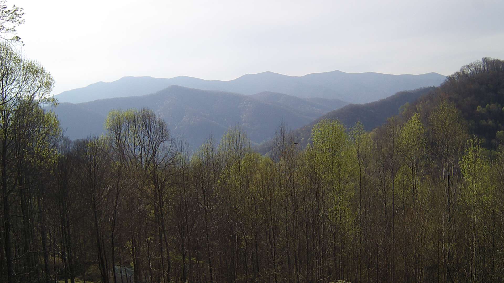 click for next image... slideshow image