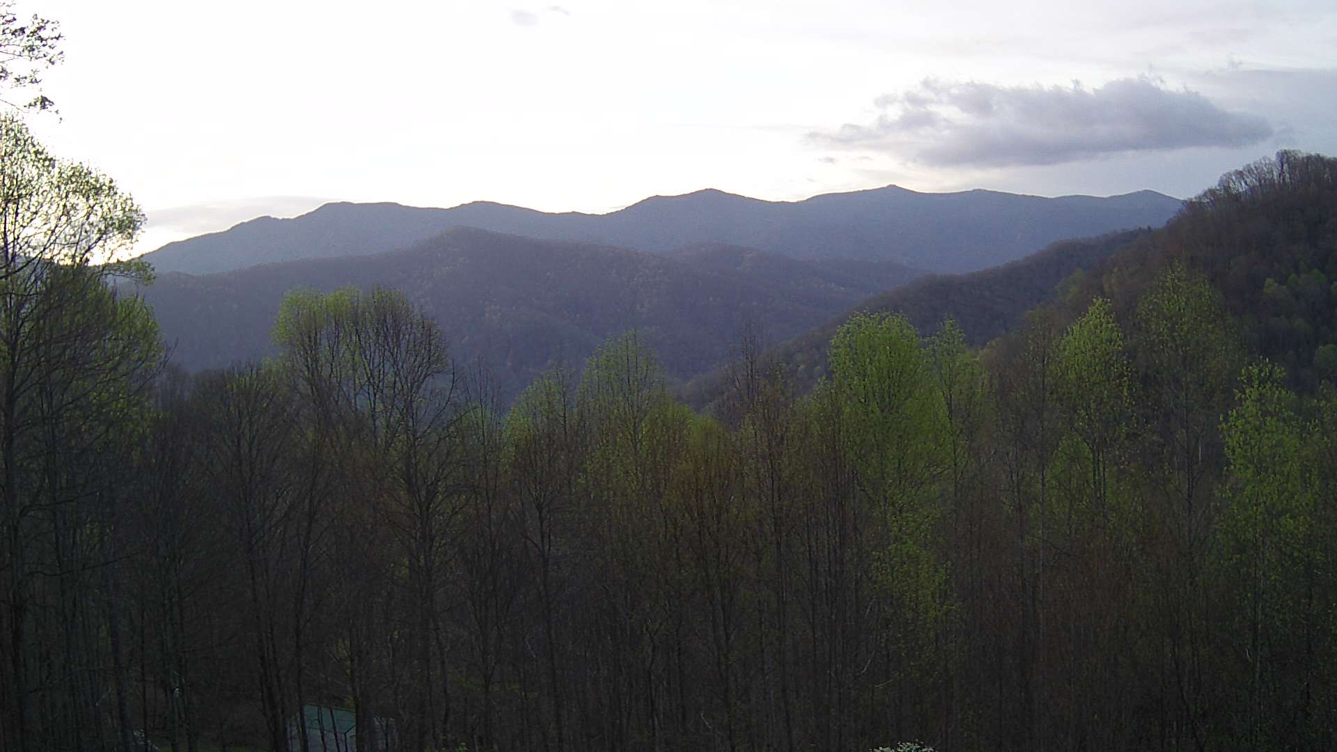 click for next image... slideshow image