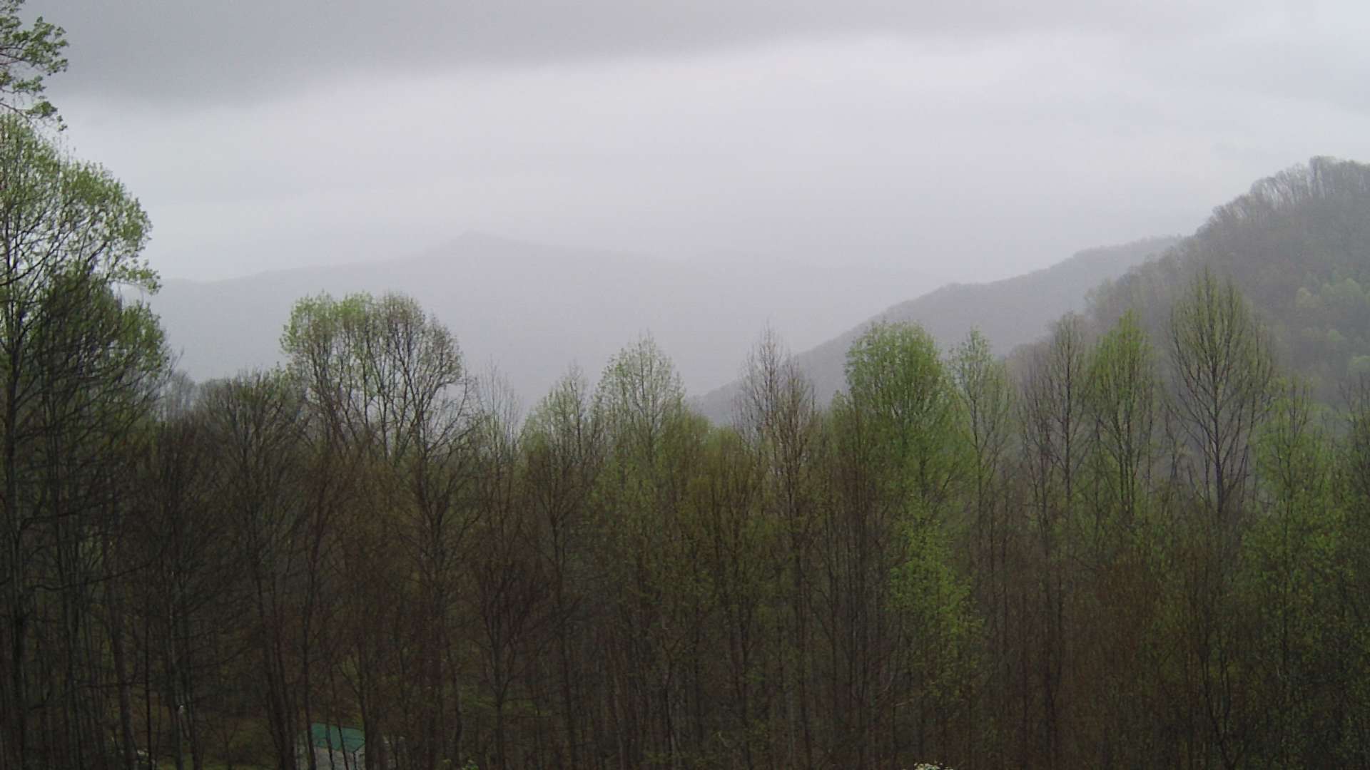 click for next image... slideshow image