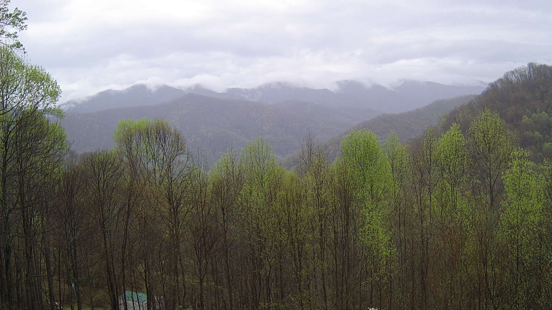 click for next image... slideshow image