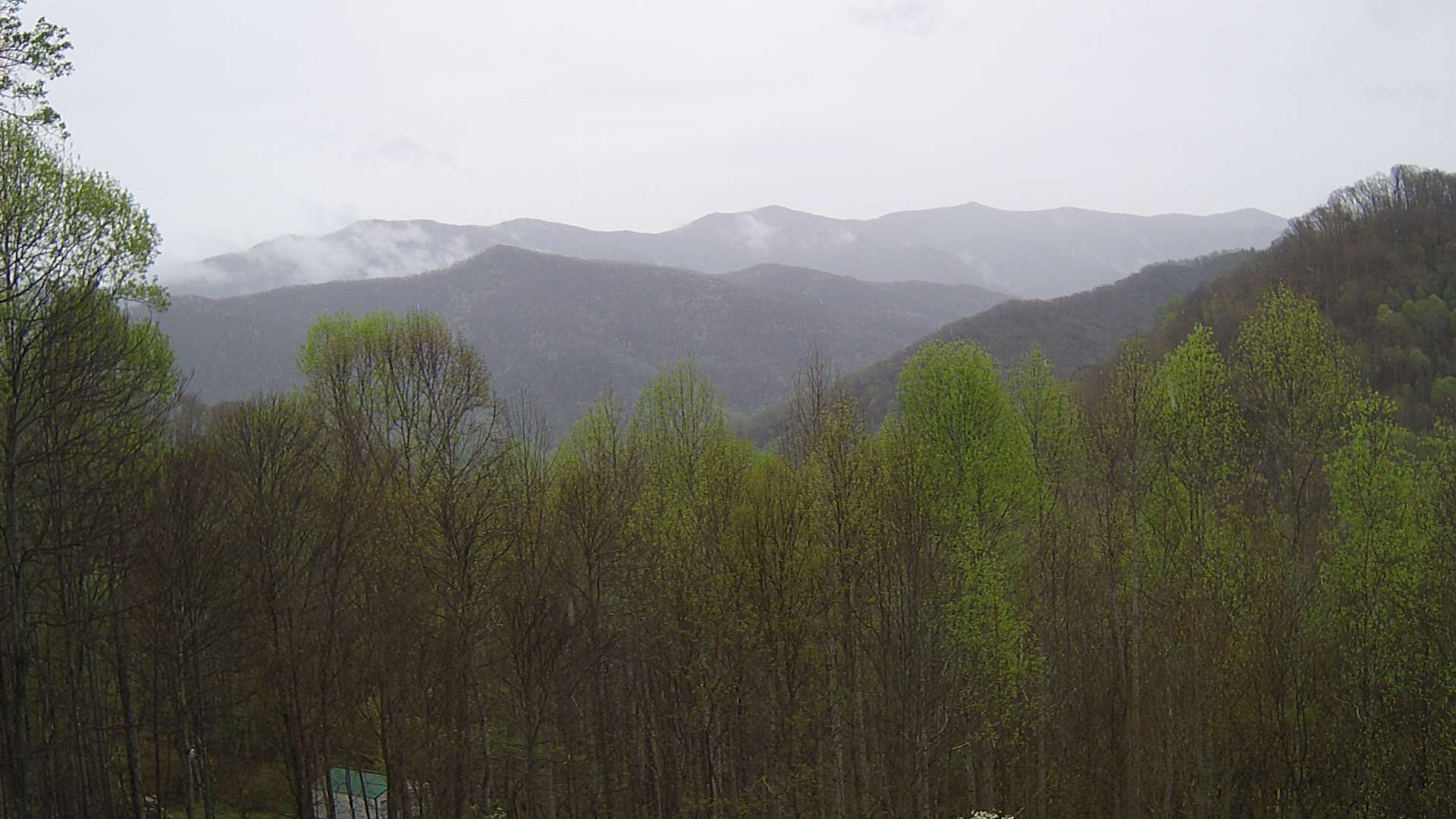 click for next image... slideshow image