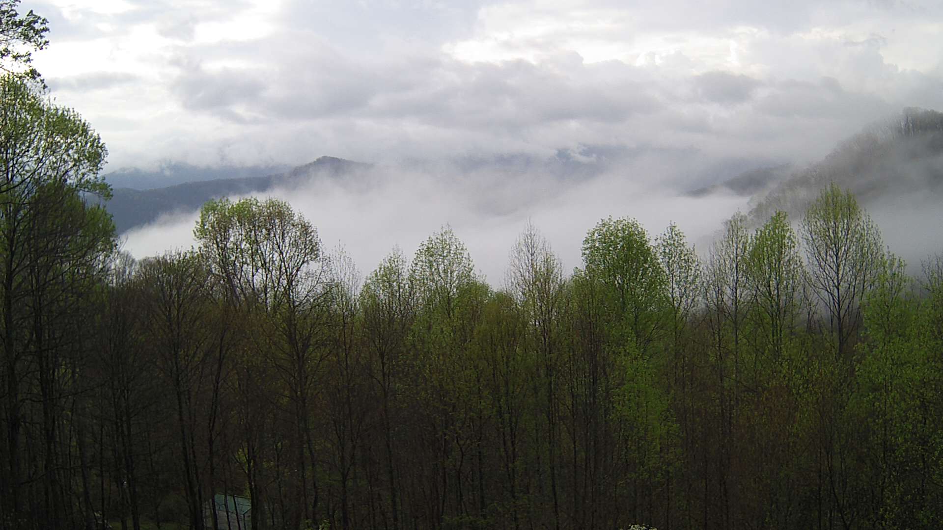 click for next image... slideshow image