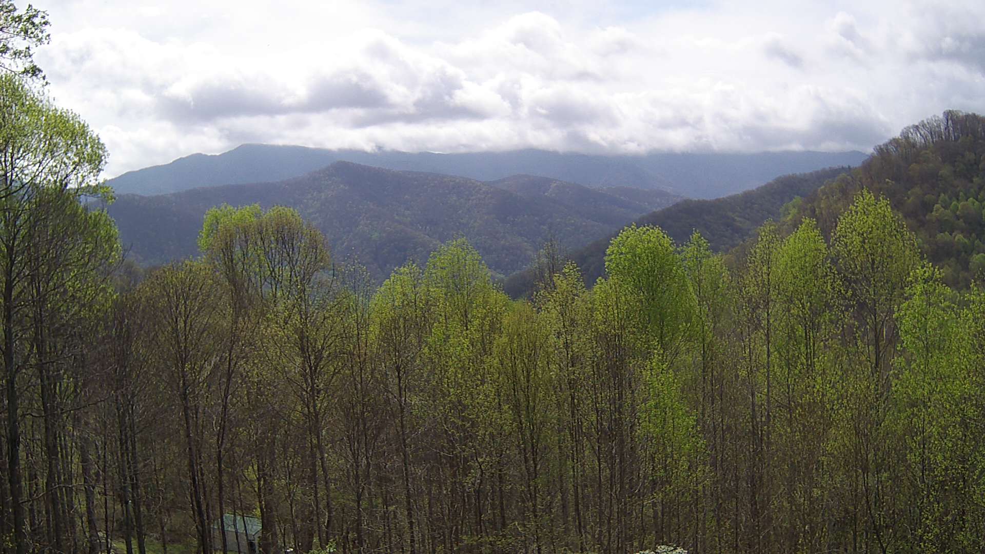 click for next image... slideshow image