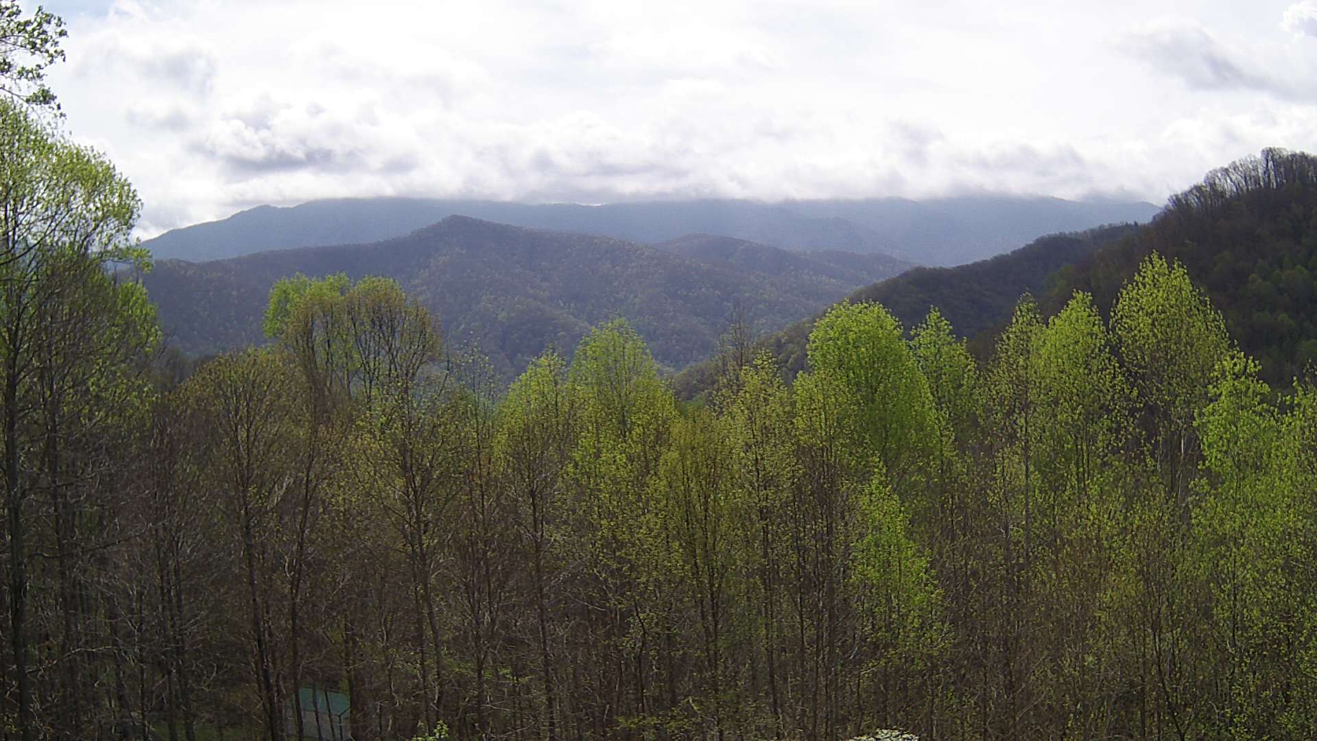 click for next image... slideshow image