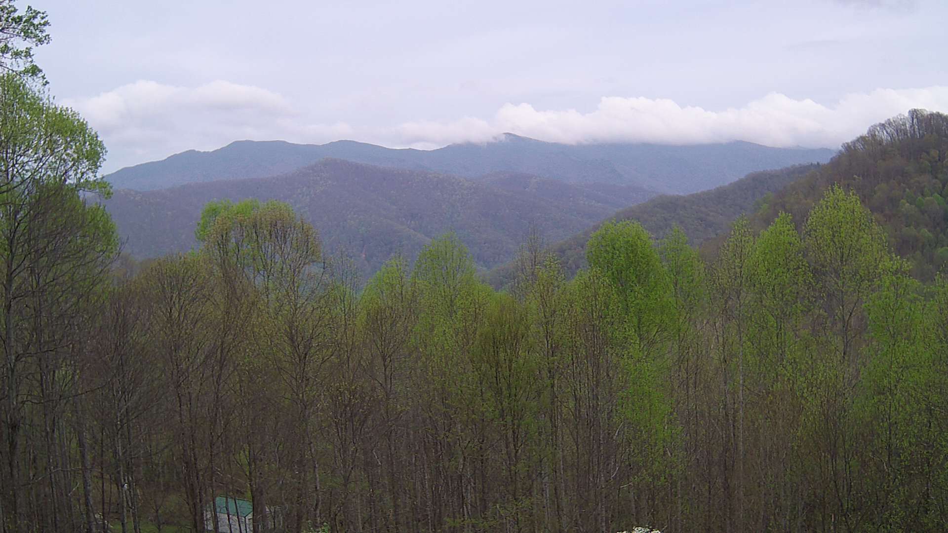 click for next image... slideshow image