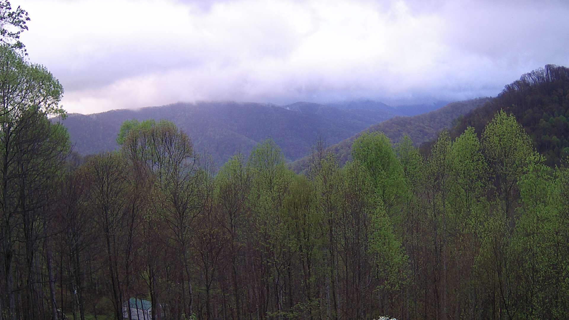click for next image... slideshow image