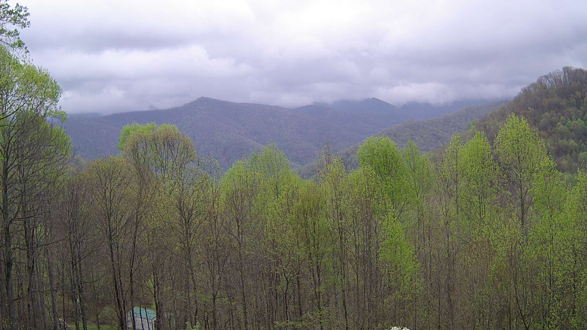 click for next image... slideshow image