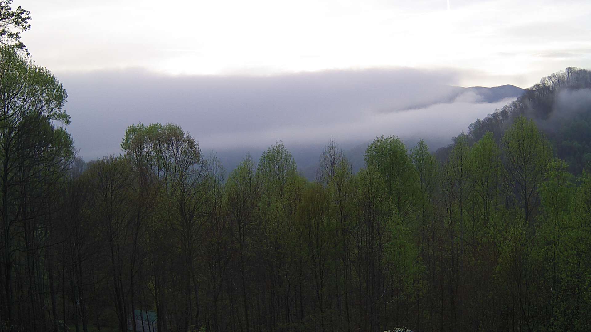 click for next image... slideshow image