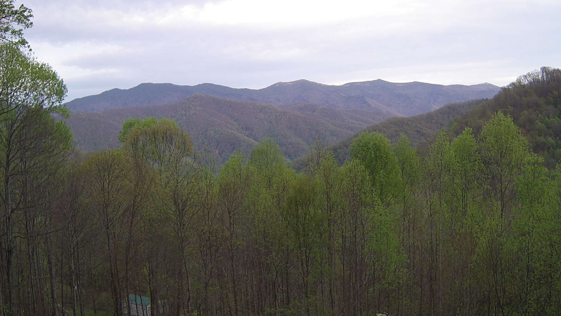 click for next image... slideshow image