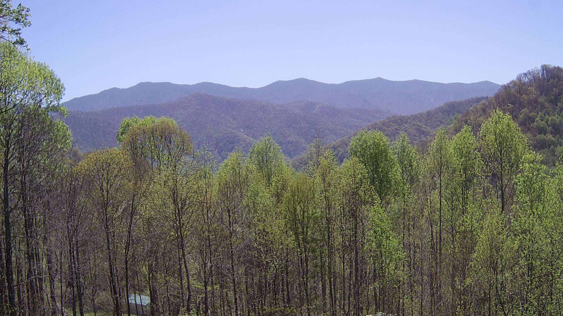 click for next image... slideshow image