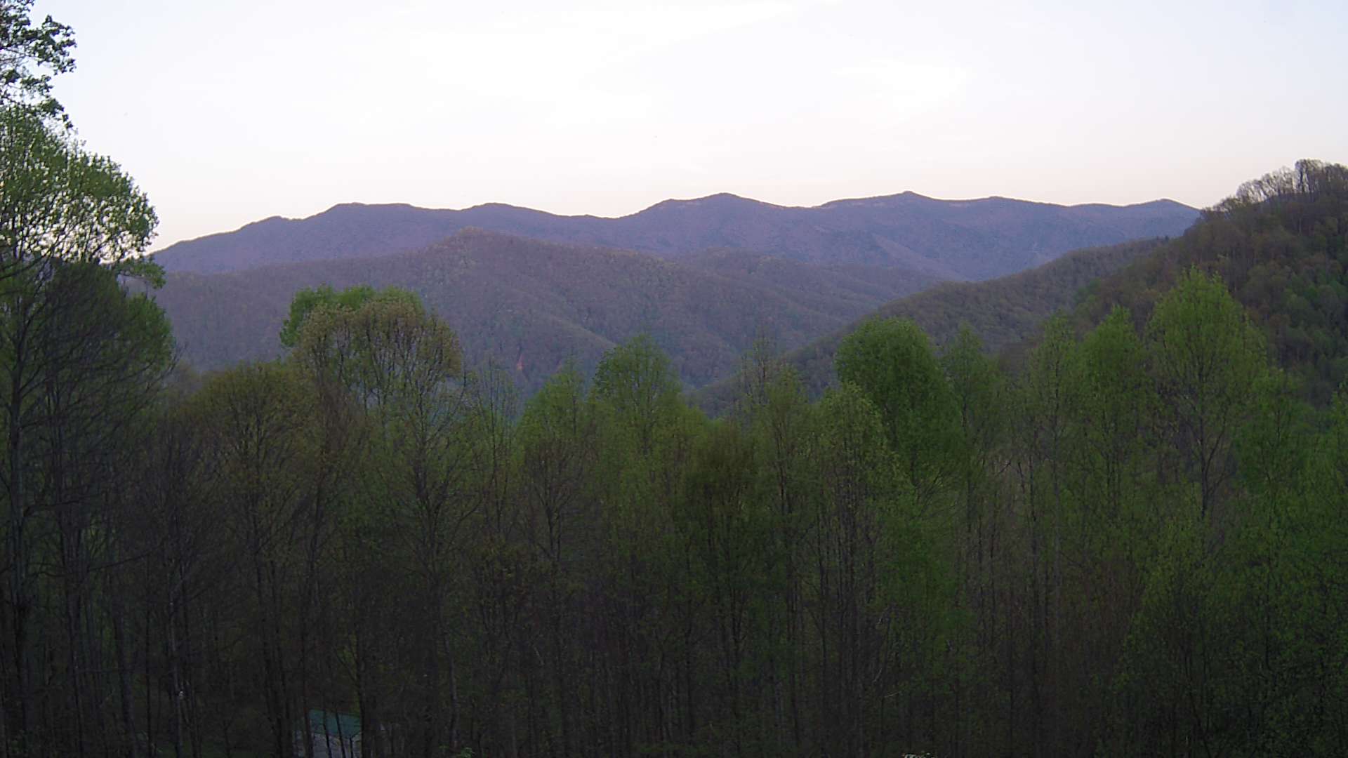 click for next image... slideshow image
