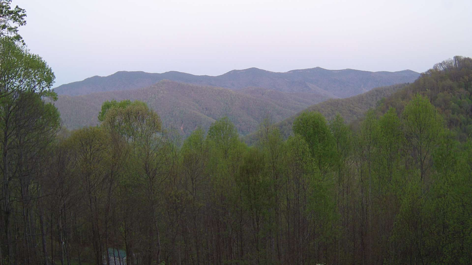 click for next image... slideshow image