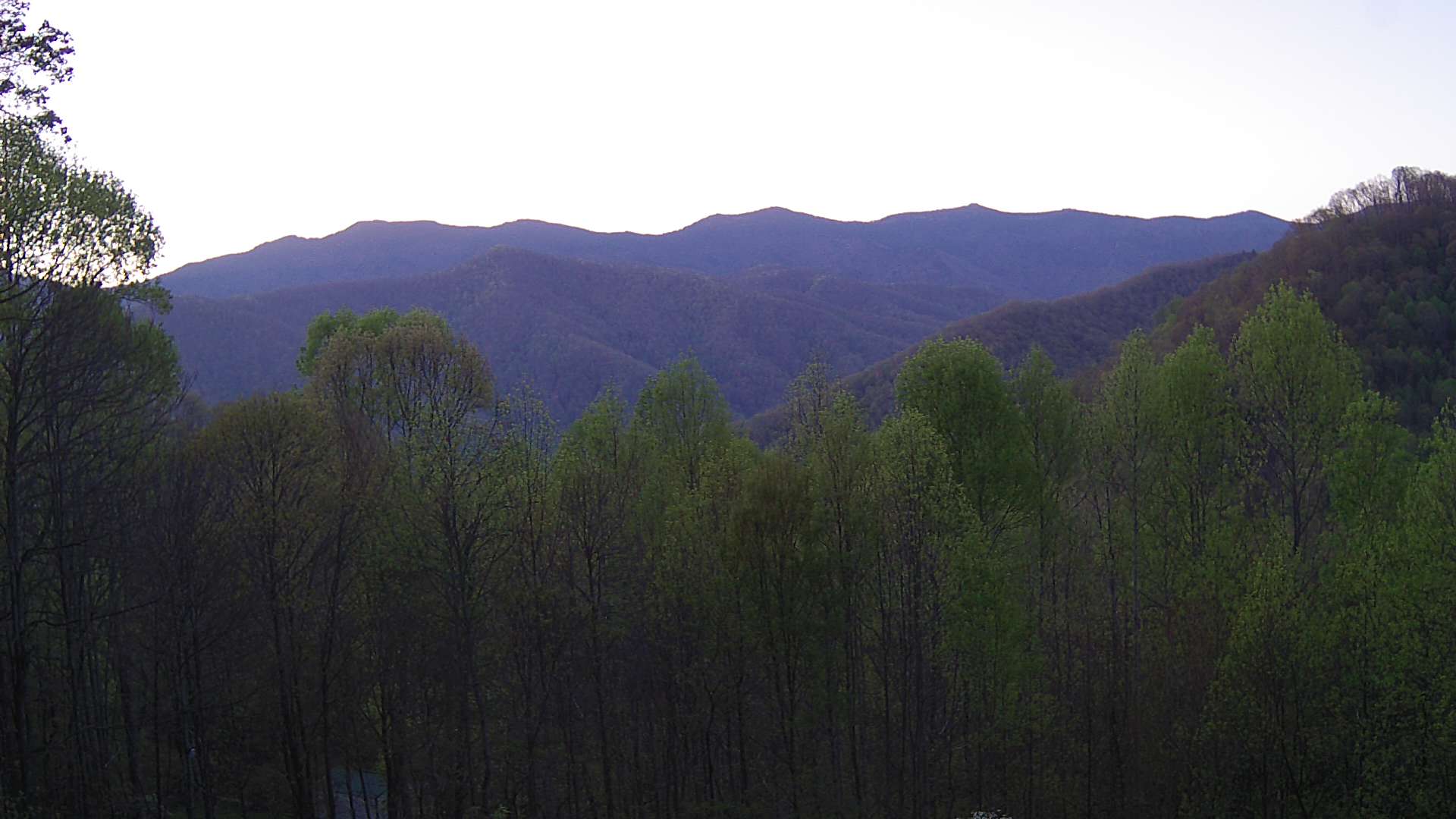 click for next image... slideshow image