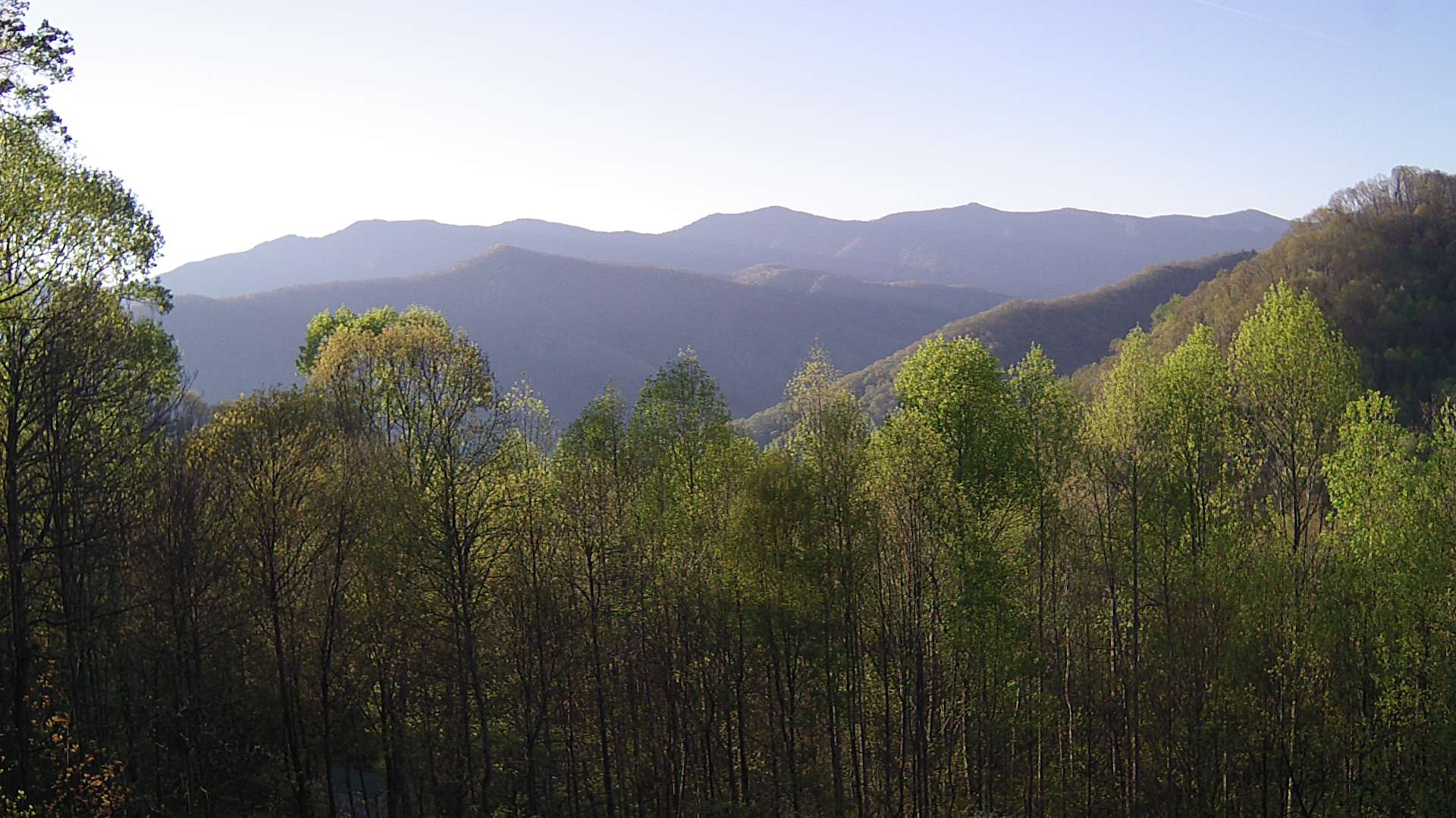 click for next image... slideshow image
