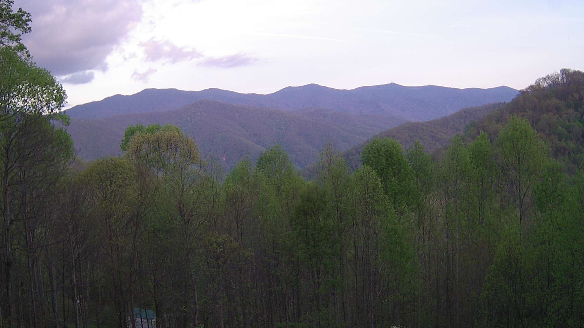 click for next image... slideshow image