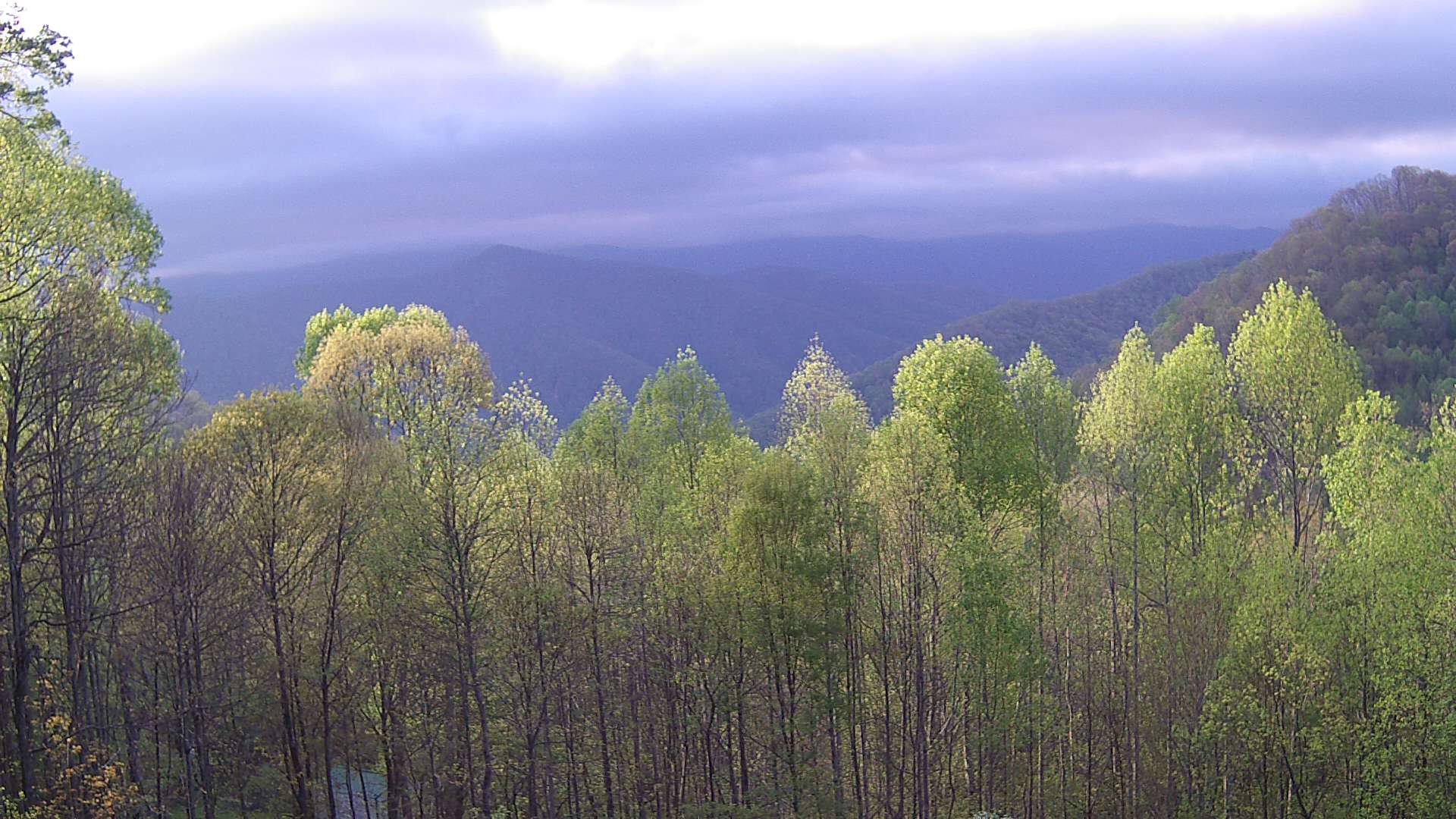 click for next image... slideshow image