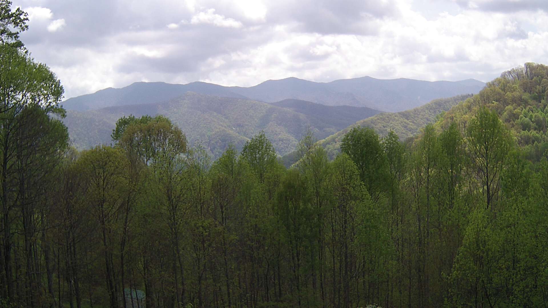 click for next image... slideshow image