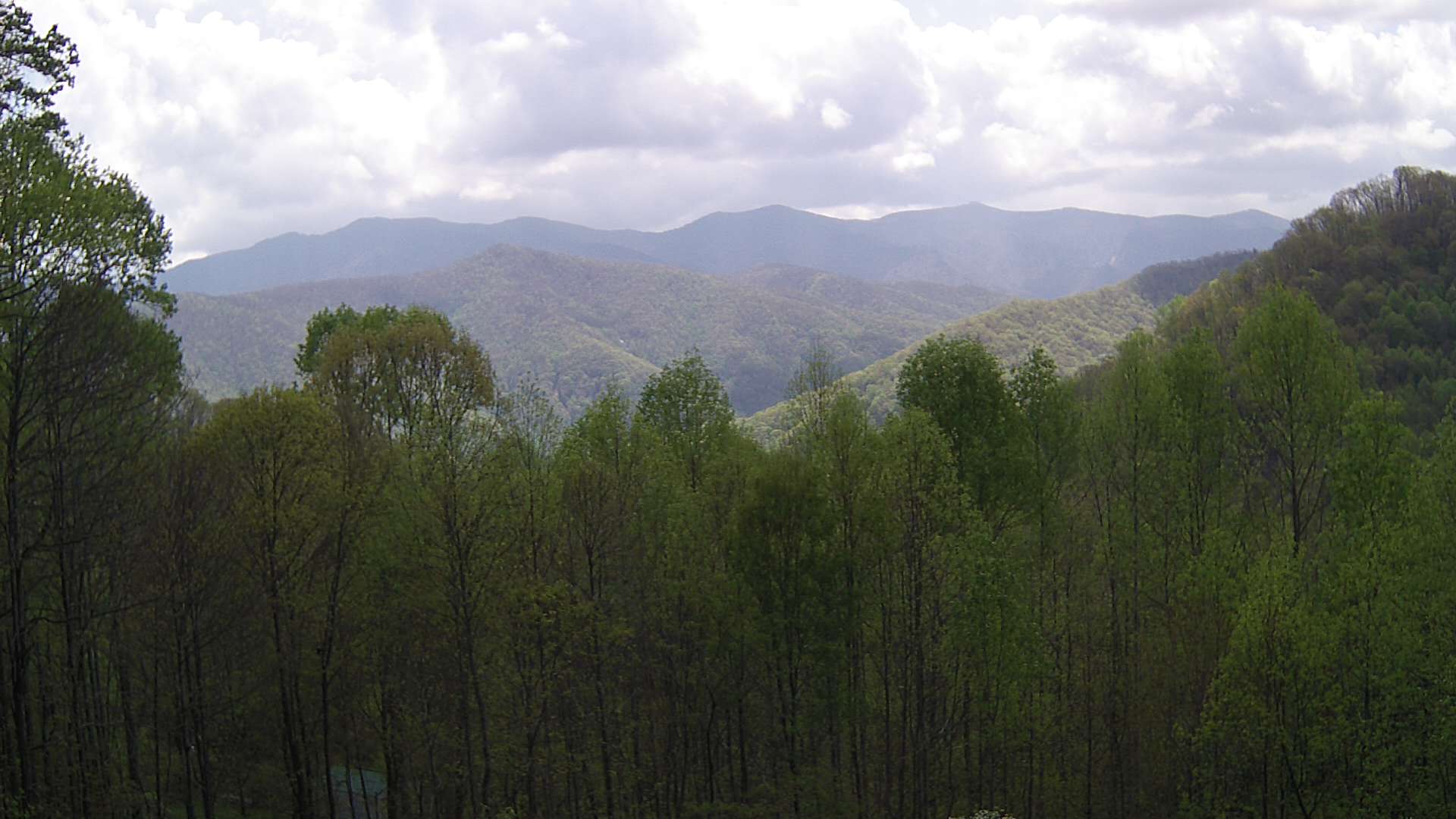 click for next image... slideshow image
