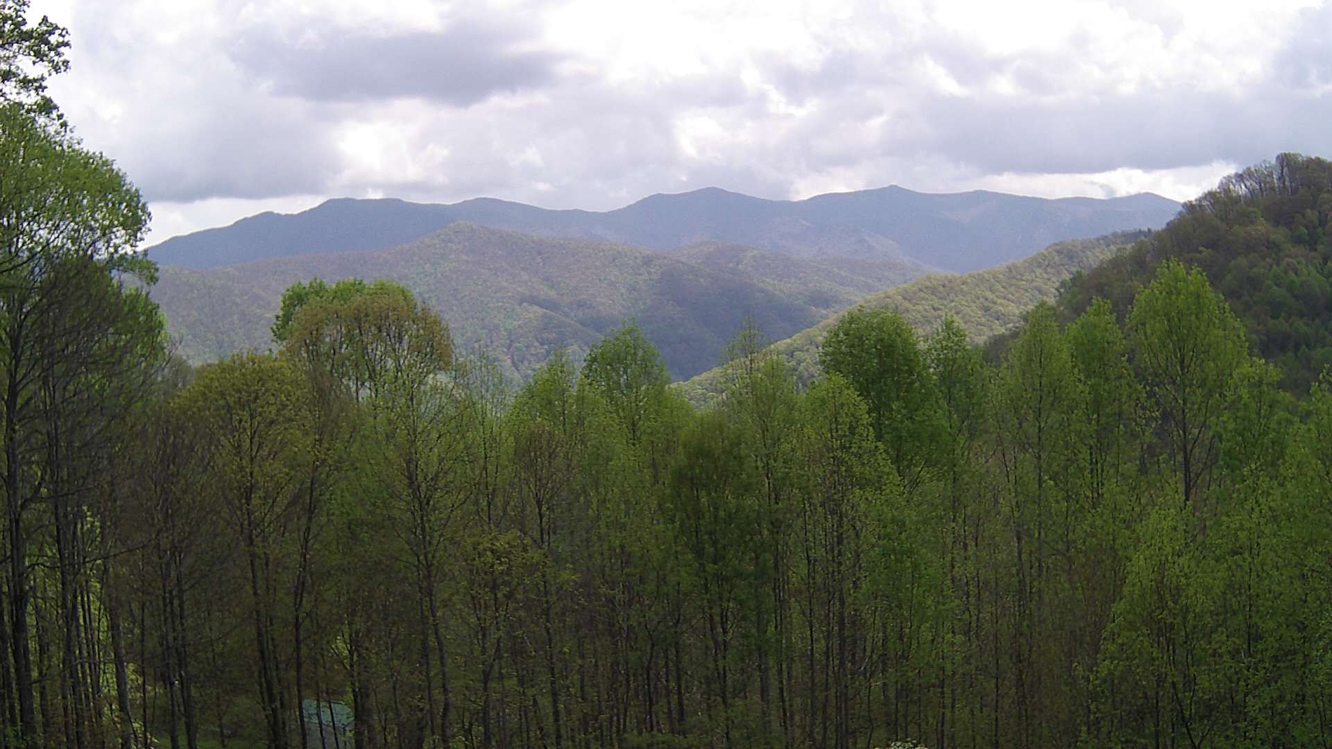 click for next image... slideshow image