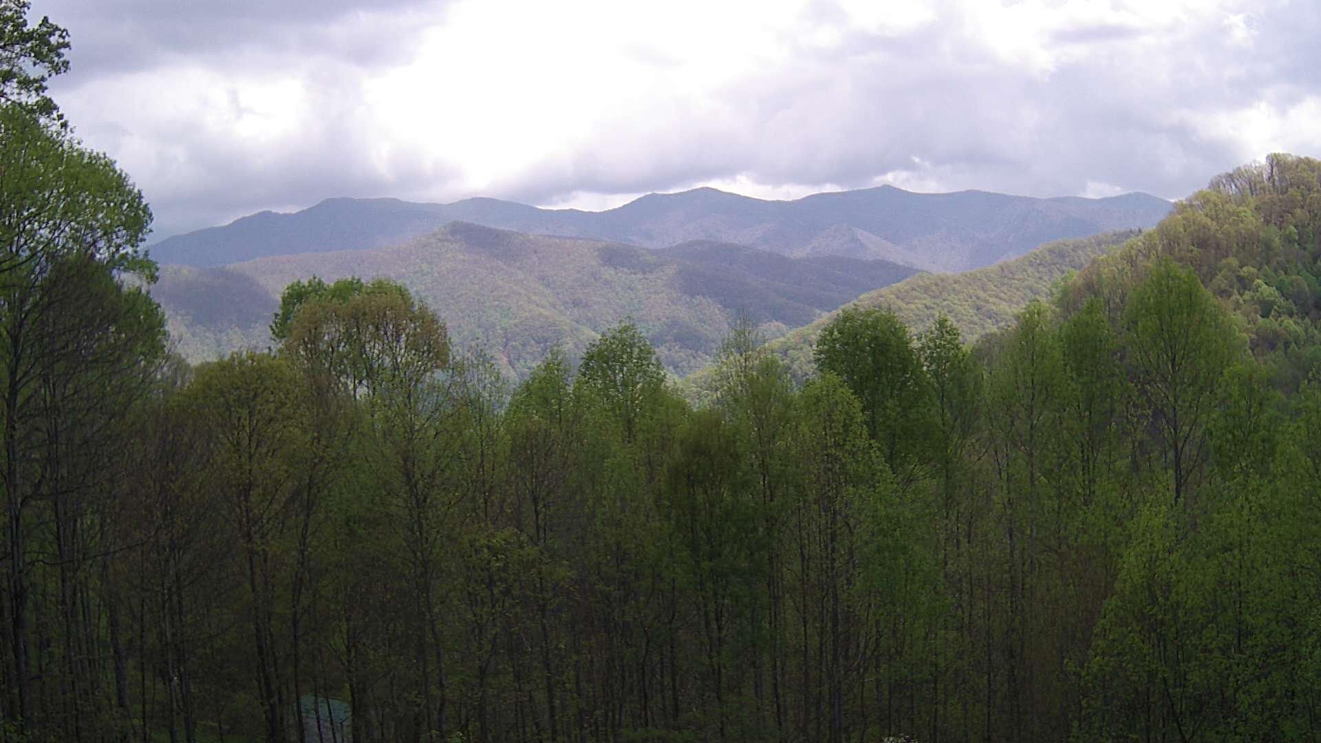 click for next image... slideshow image