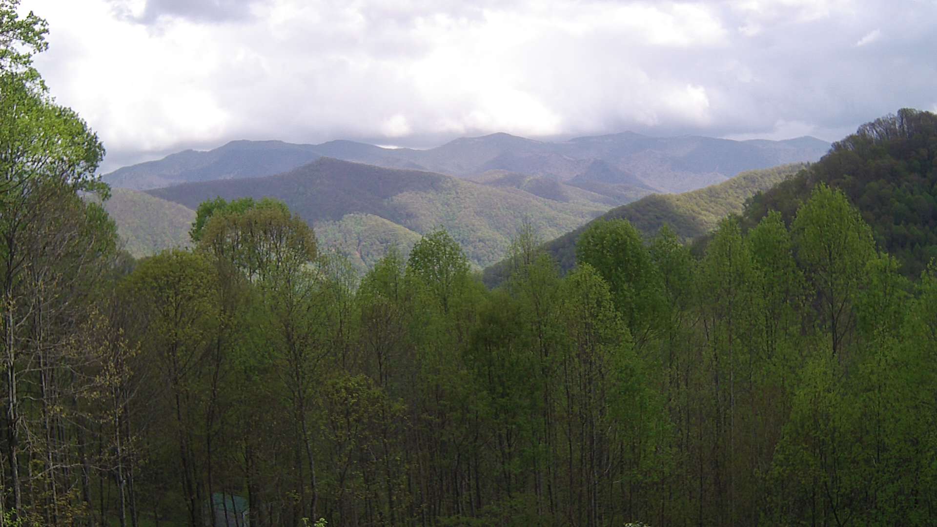 click for next image... slideshow image