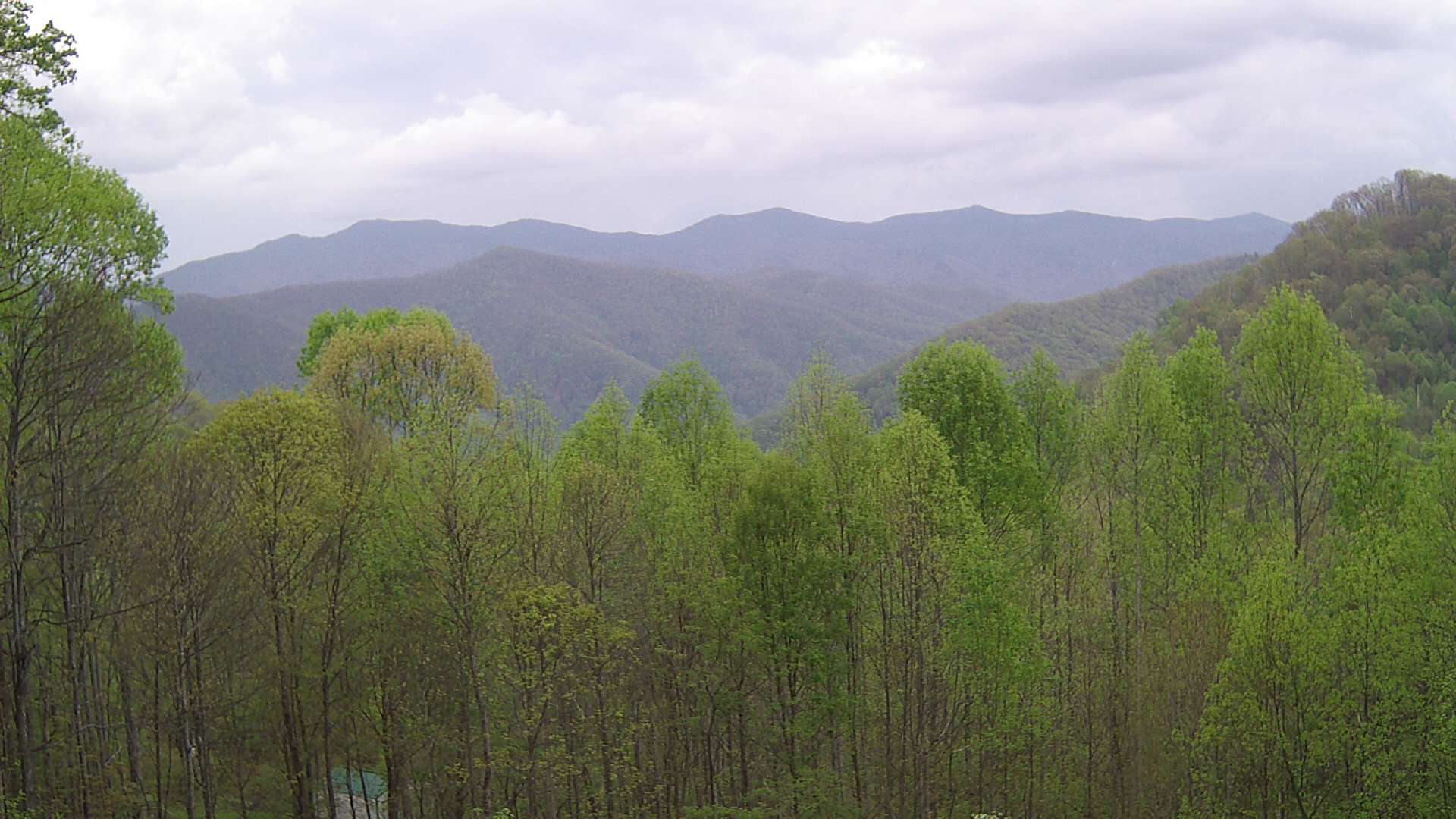 click for next image... slideshow image