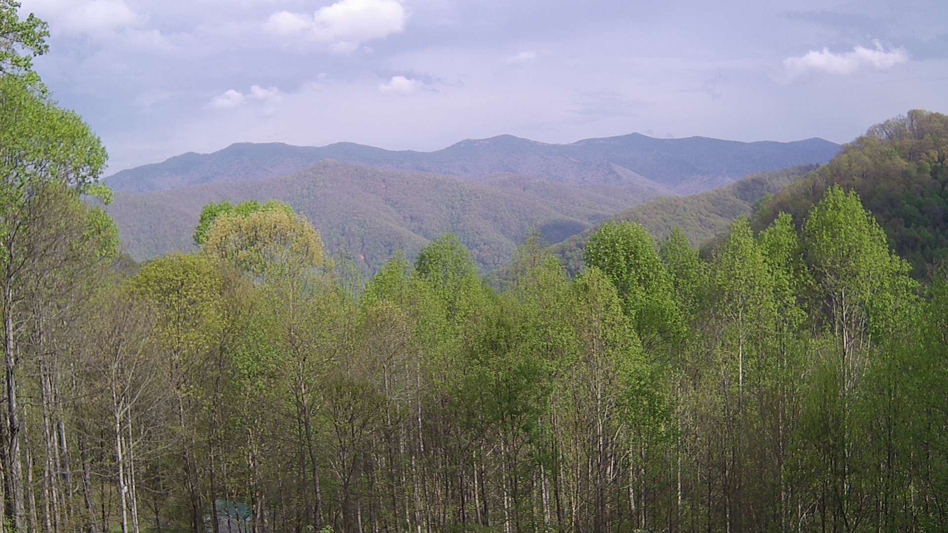 click for next image... slideshow image