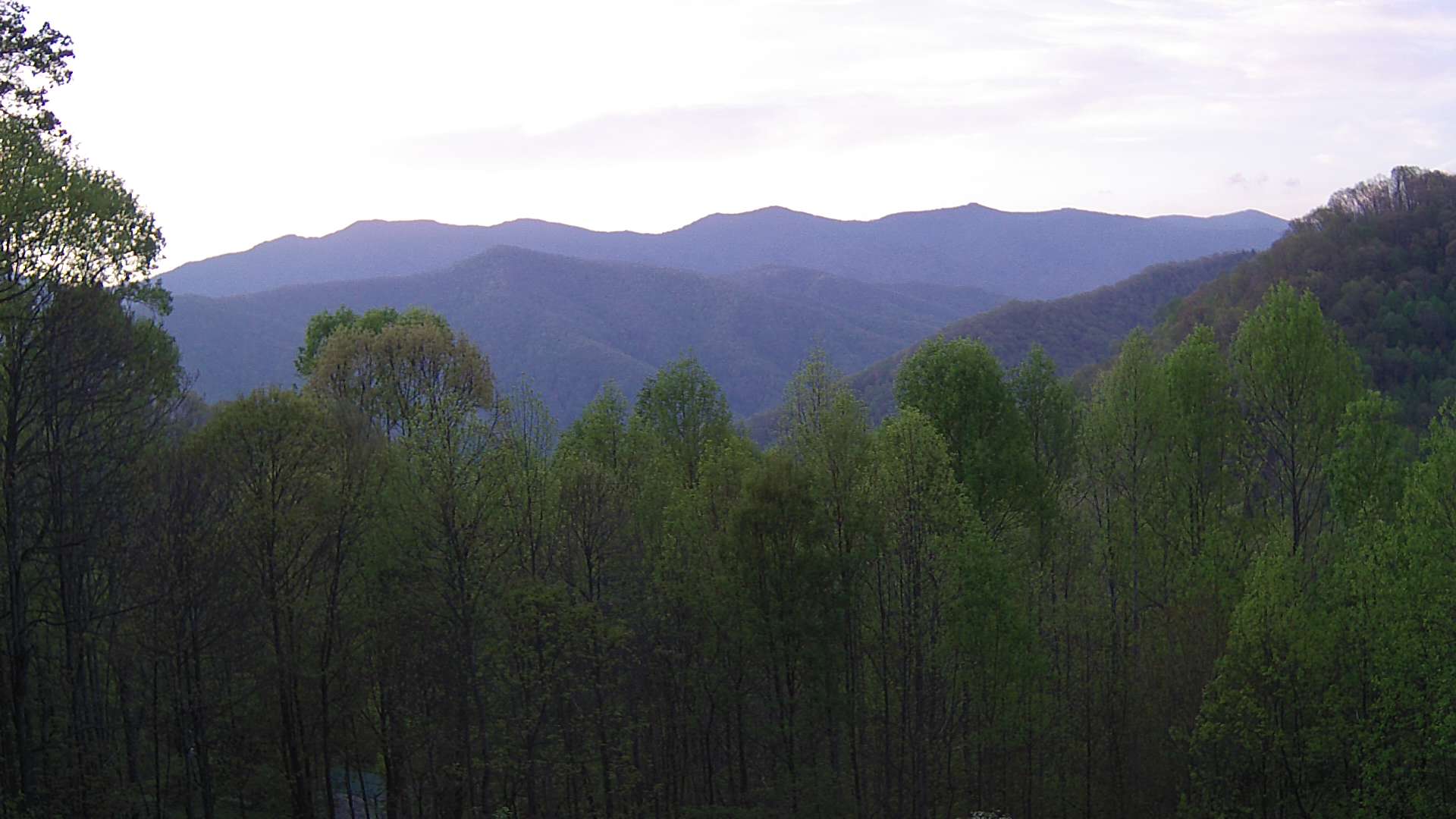 click for next image... slideshow image