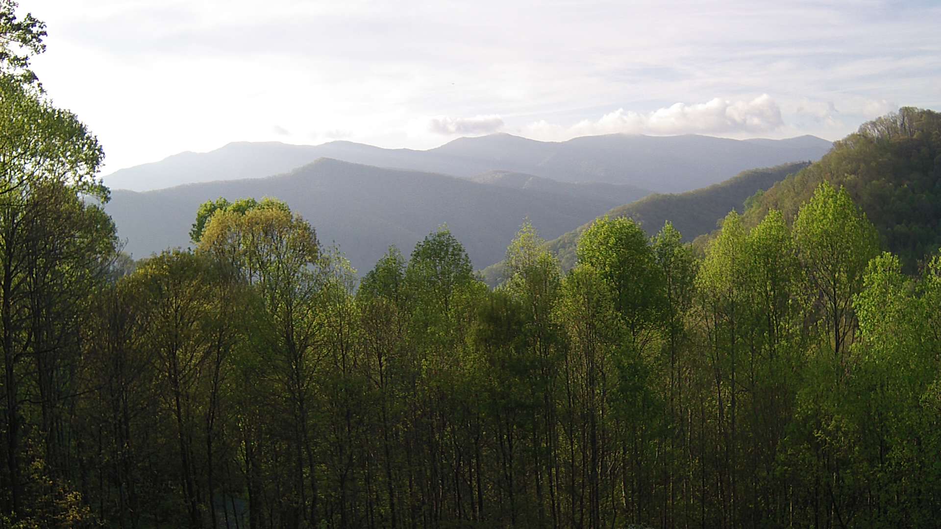 click for next image... slideshow image