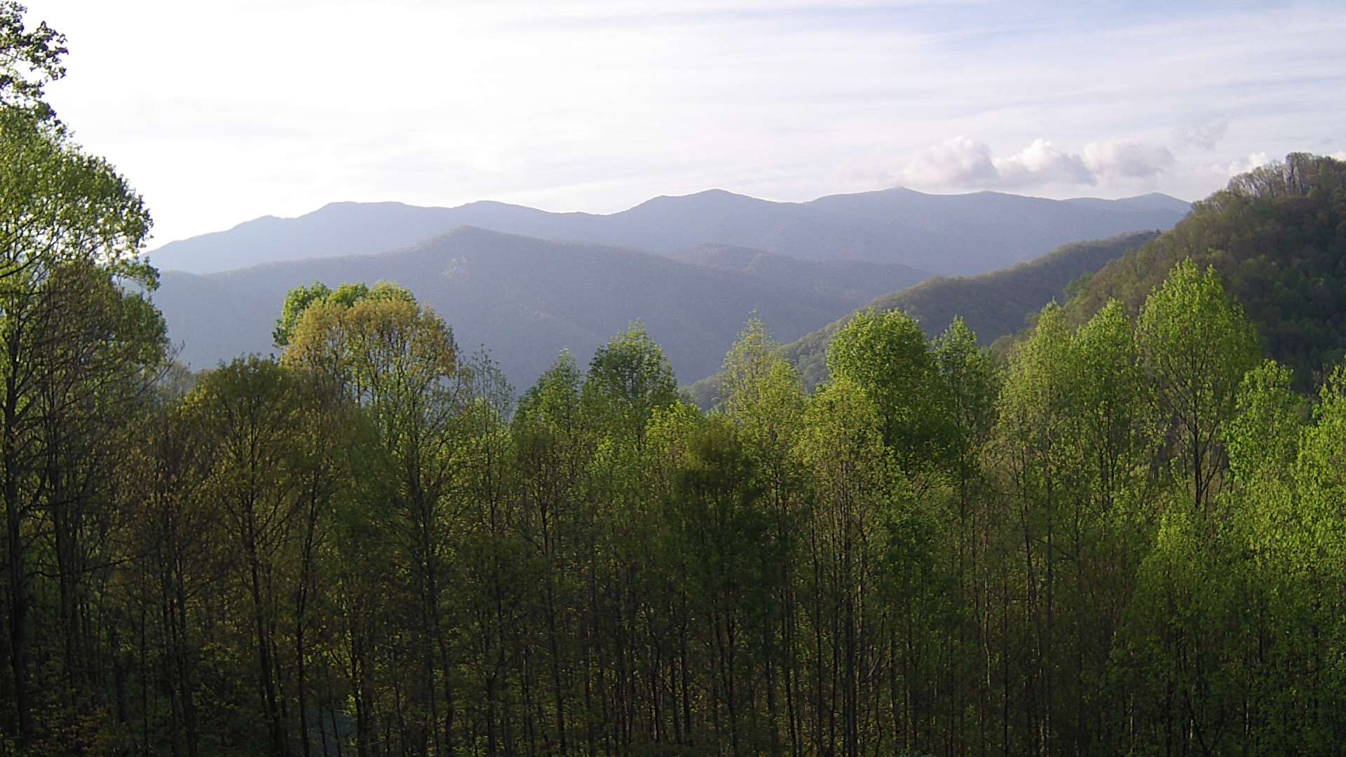 click for next image... slideshow image