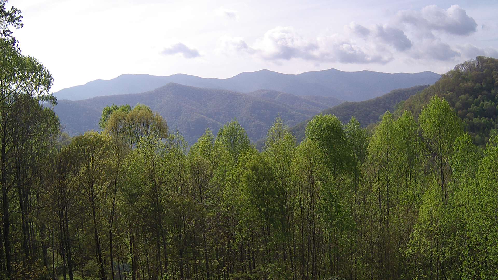 click for next image... slideshow image