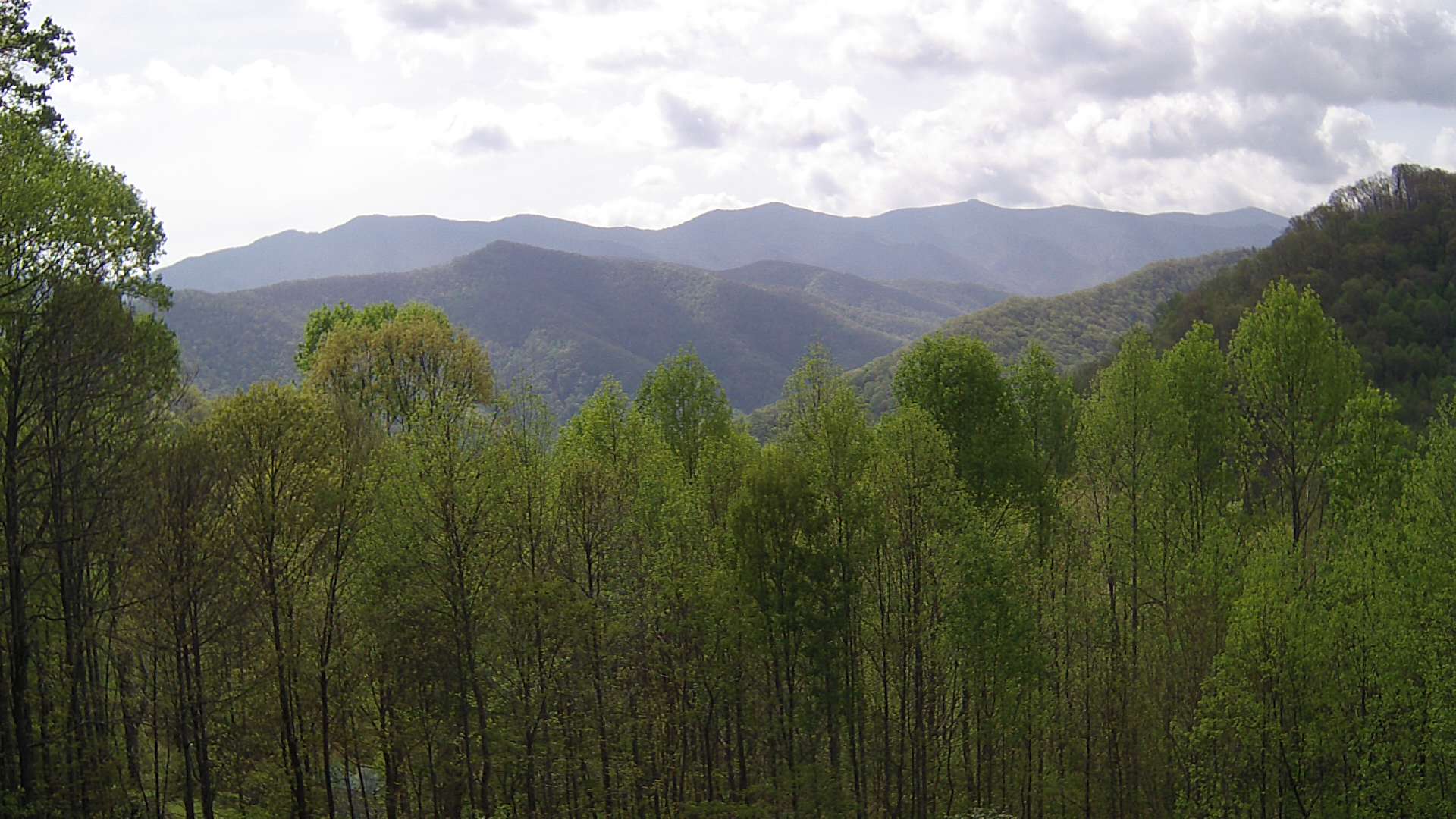 click for next image... slideshow image