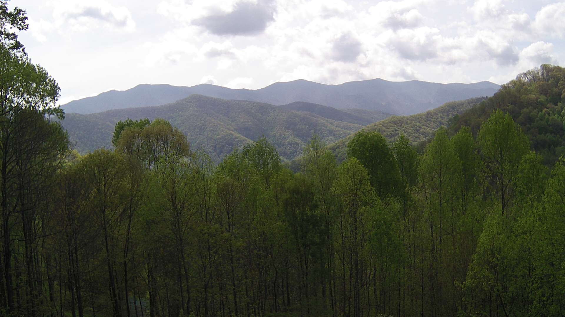 click for next image... slideshow image