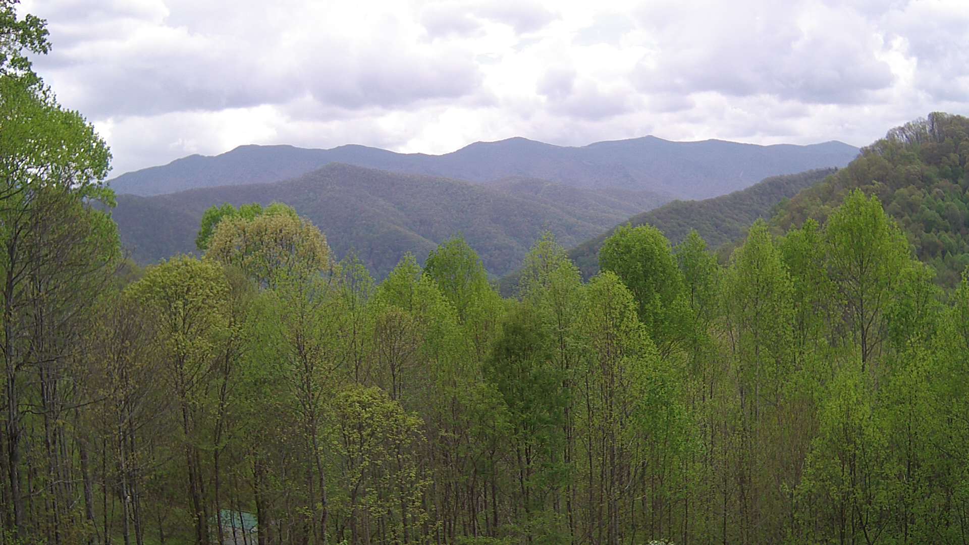 click for next image... slideshow image