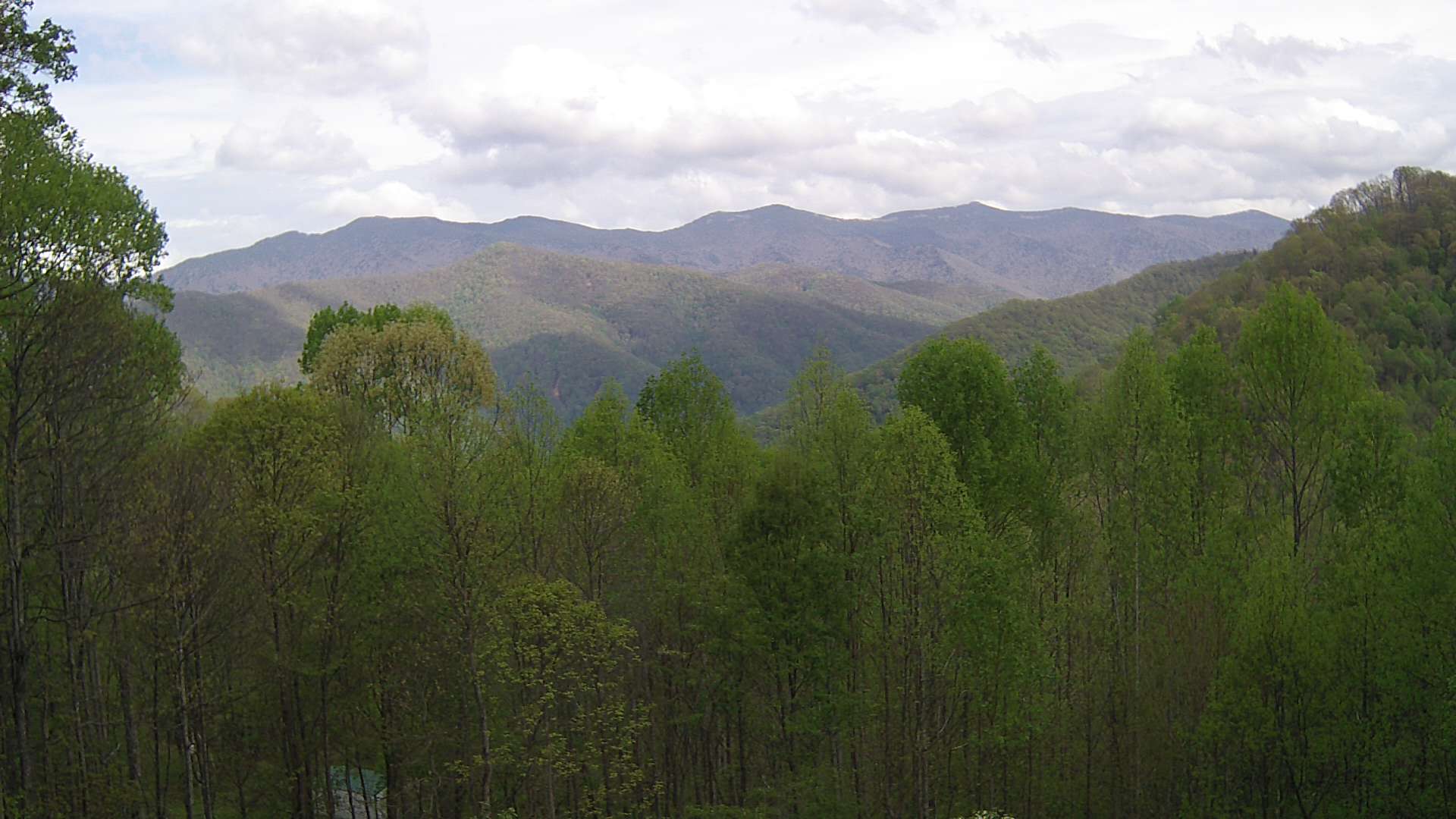 click for next image... slideshow image