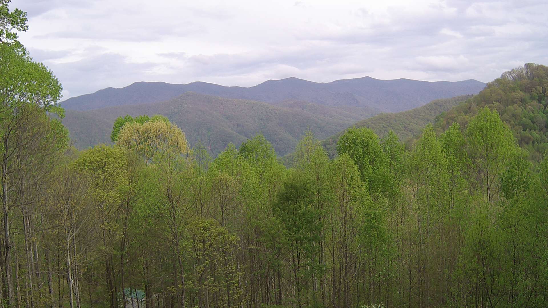 click for next image... slideshow image