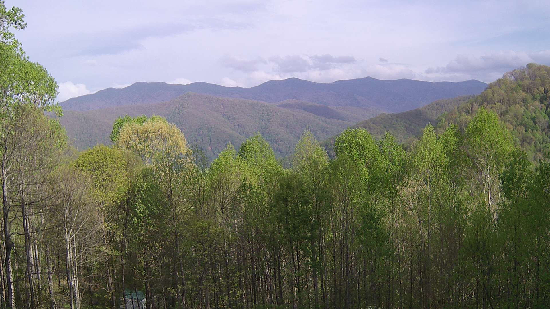 click for next image... slideshow image
