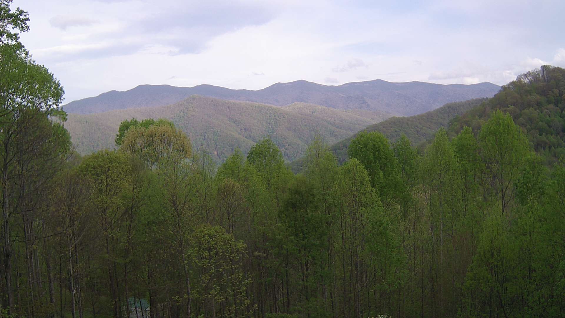 click for next image... slideshow image