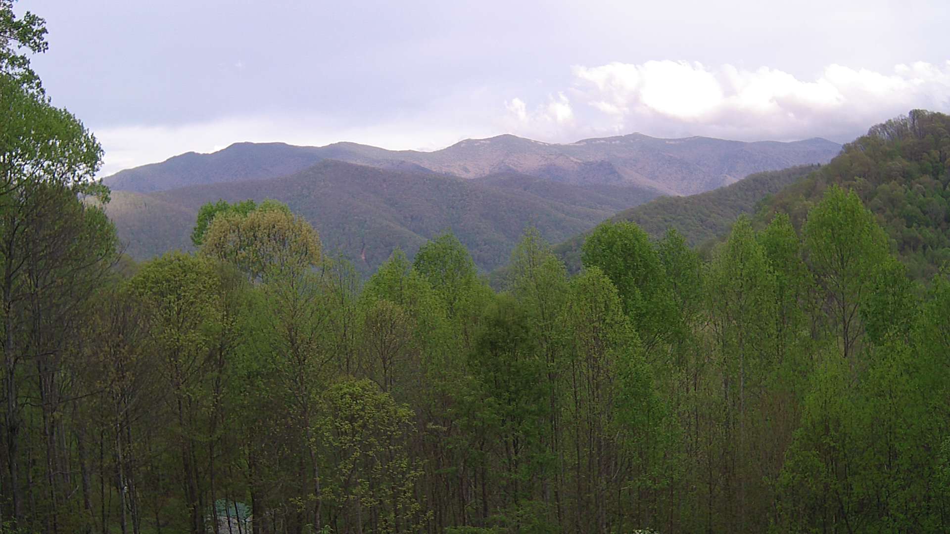 click for next image... slideshow image