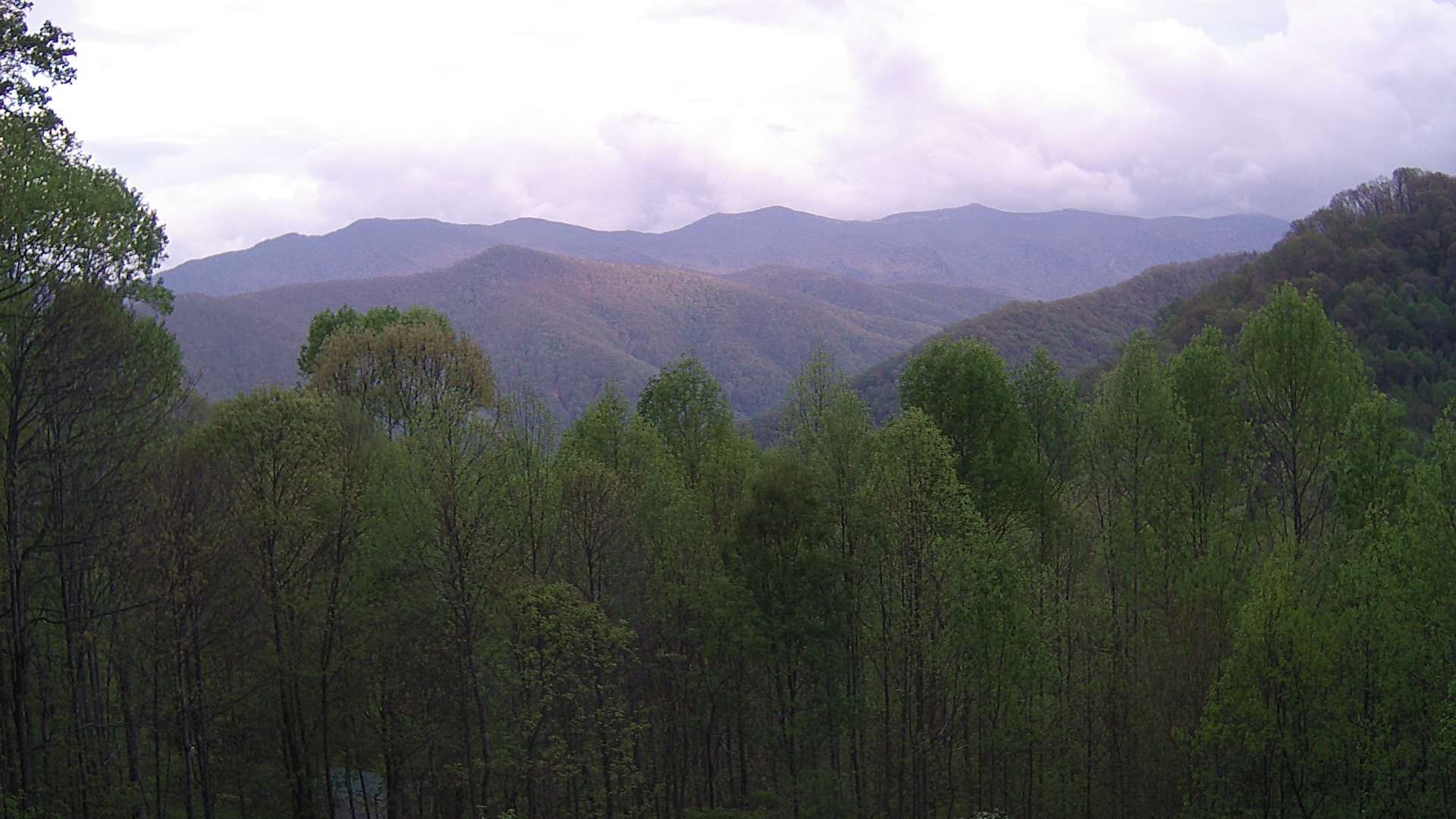 click for next image... slideshow image