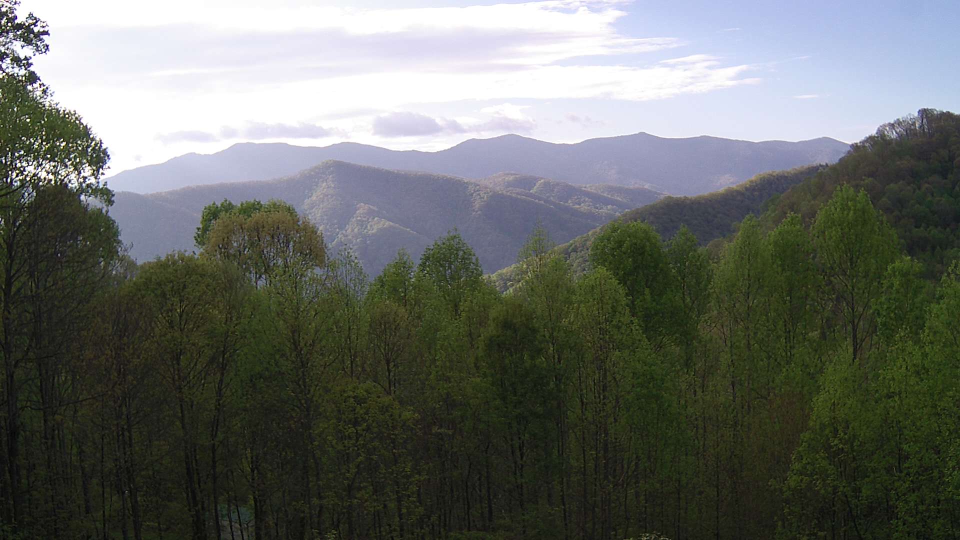 click for next image... slideshow image