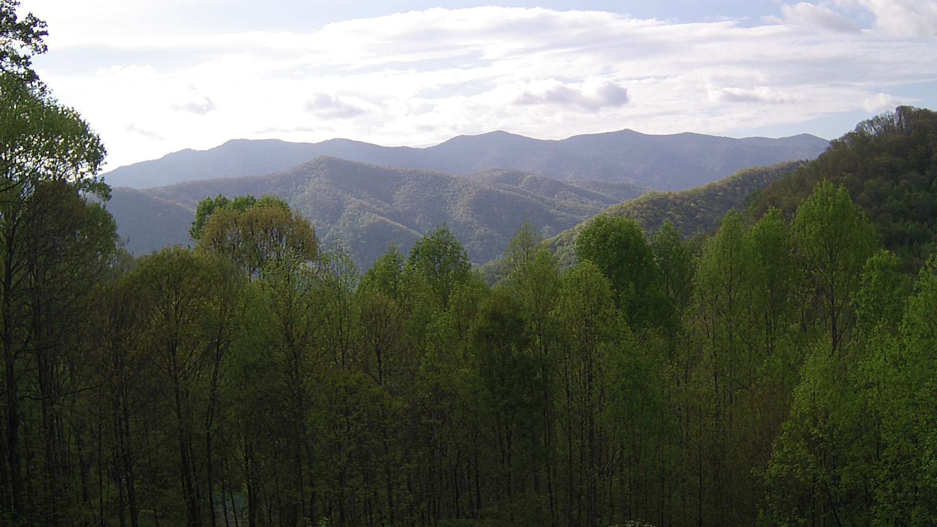 click for next image... slideshow image