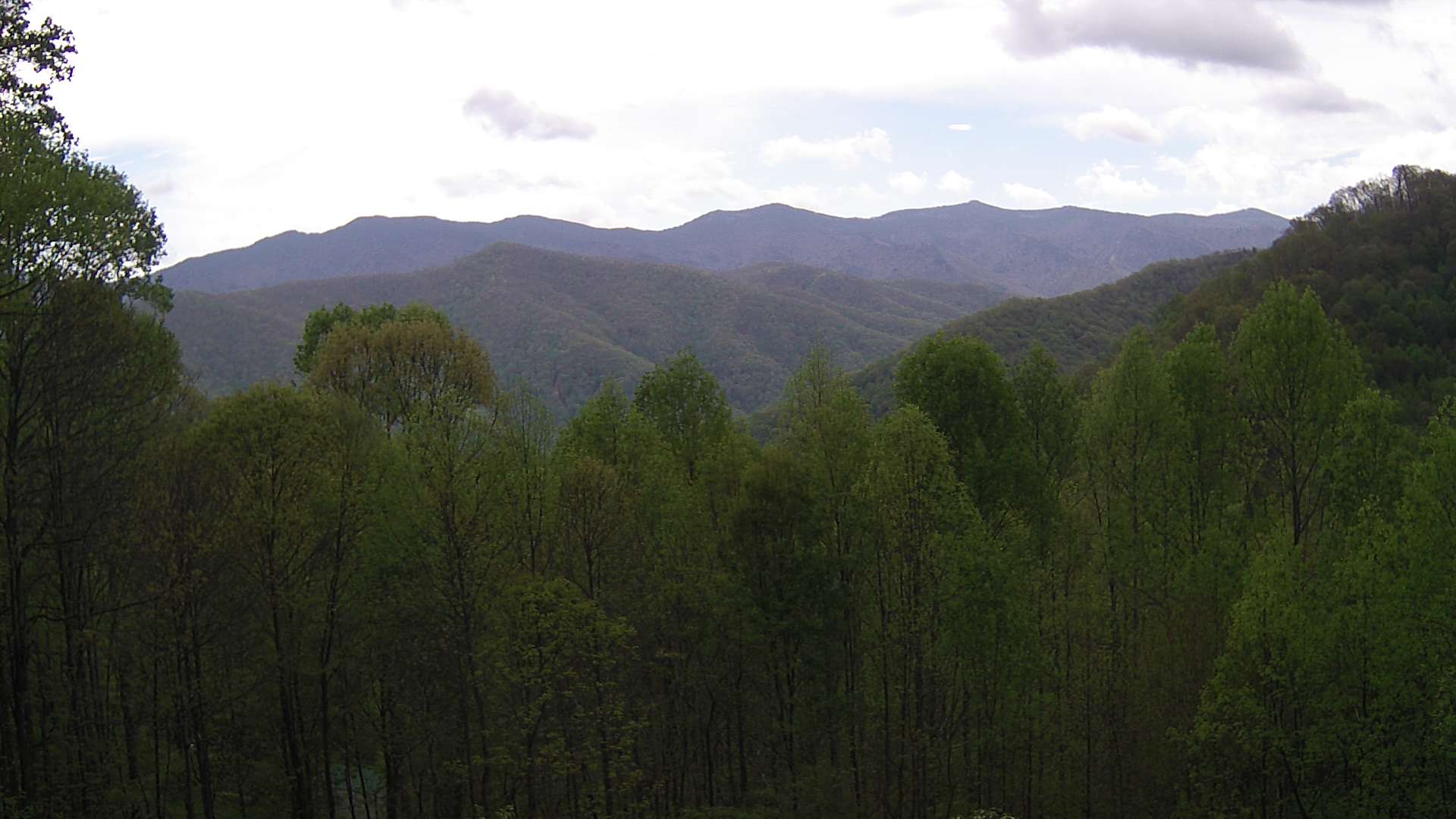 click for next image... slideshow image