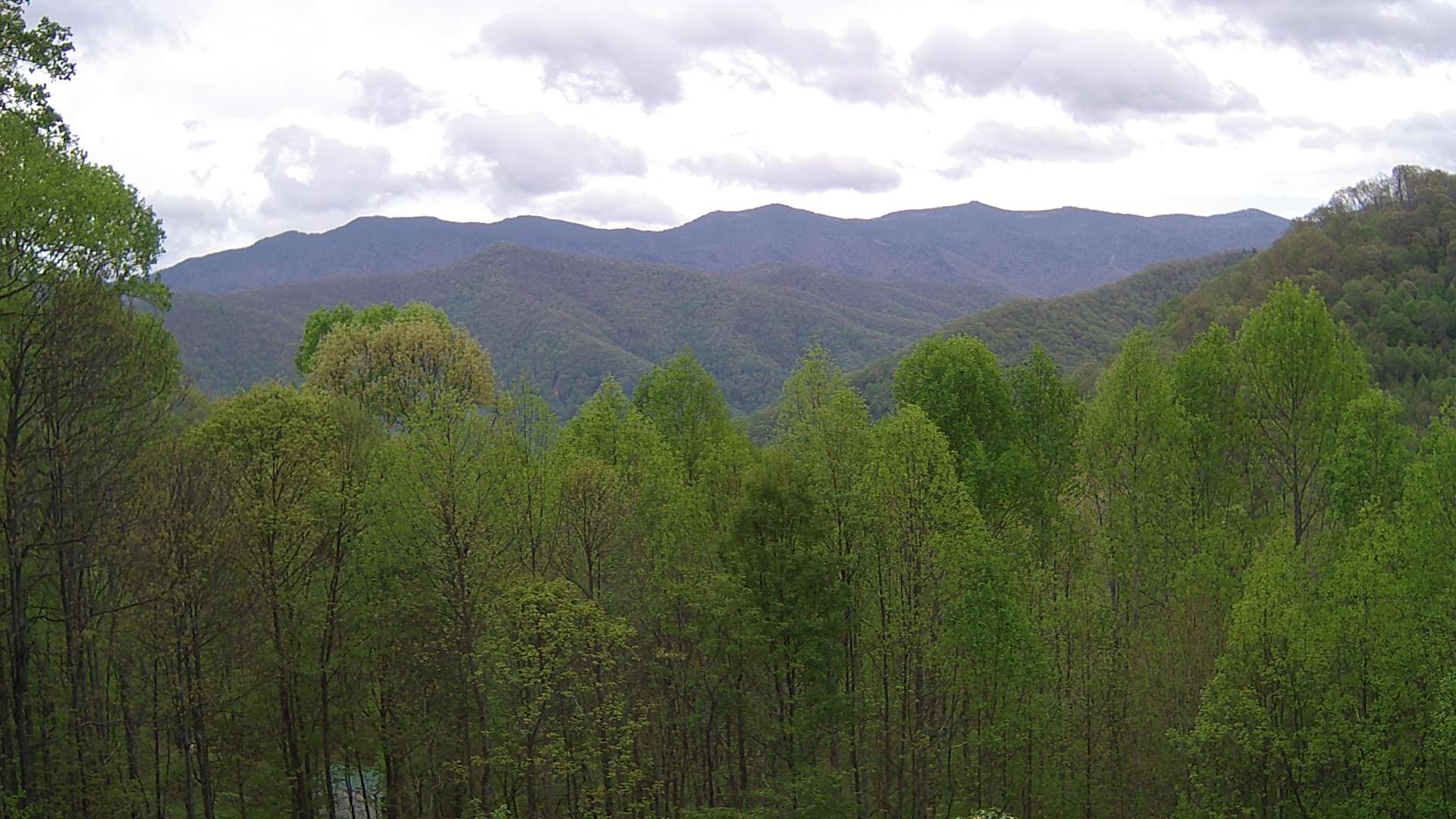 click for next image... slideshow image