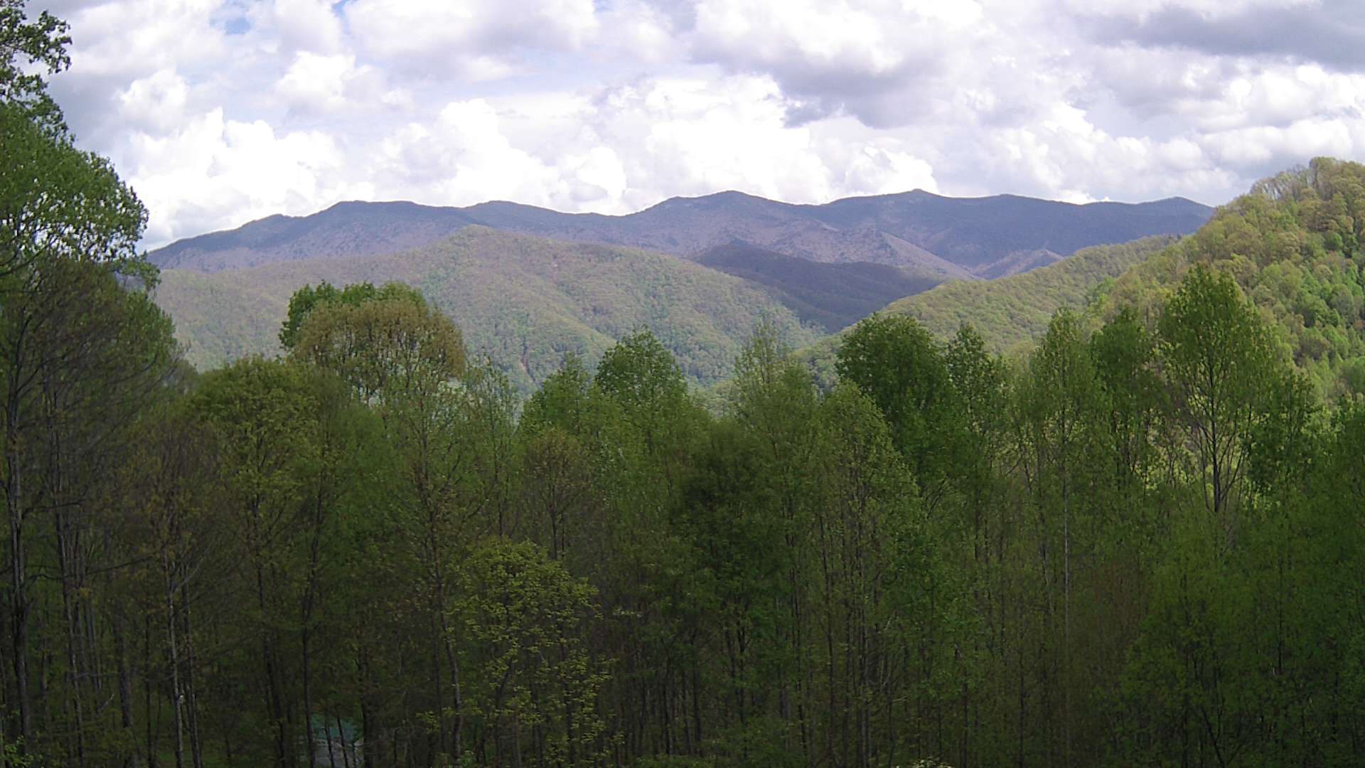 click for next image... slideshow image